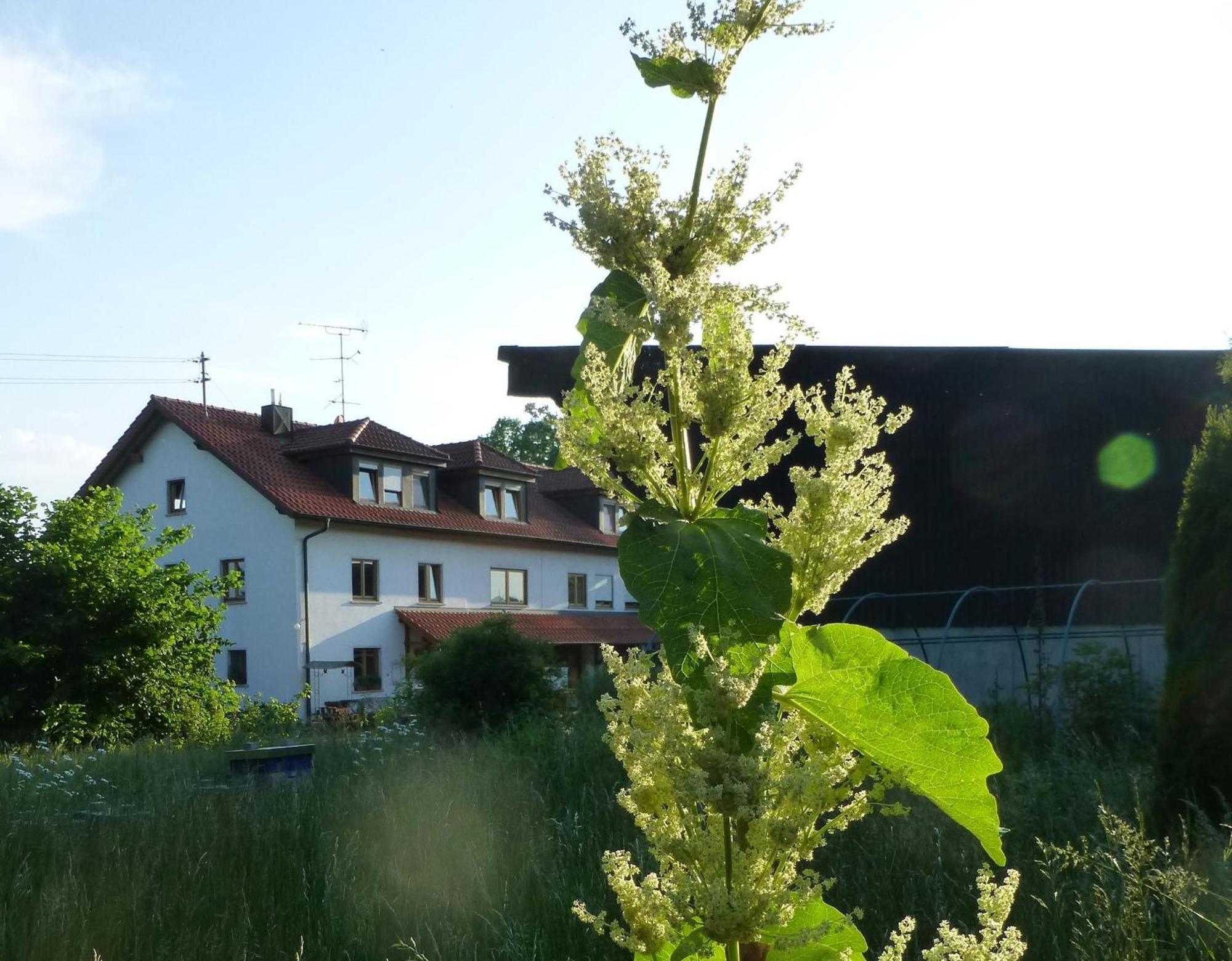 Moorwiesenhof Ostrach Exterior foto